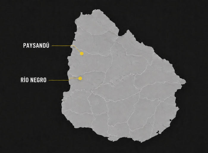 Cobertura de maquinaria Marfenir en Uruguay